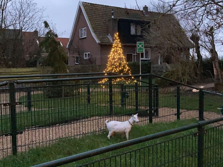 De veelzijdige tuin