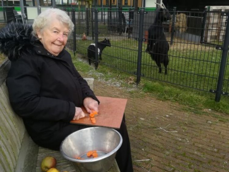 Fruit voor de dieren