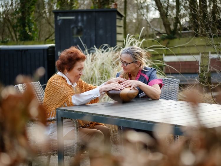 Het bijzondere interactieve zorginstrument: de CRDL