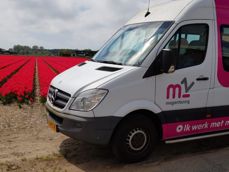 Naar de Tulpen
