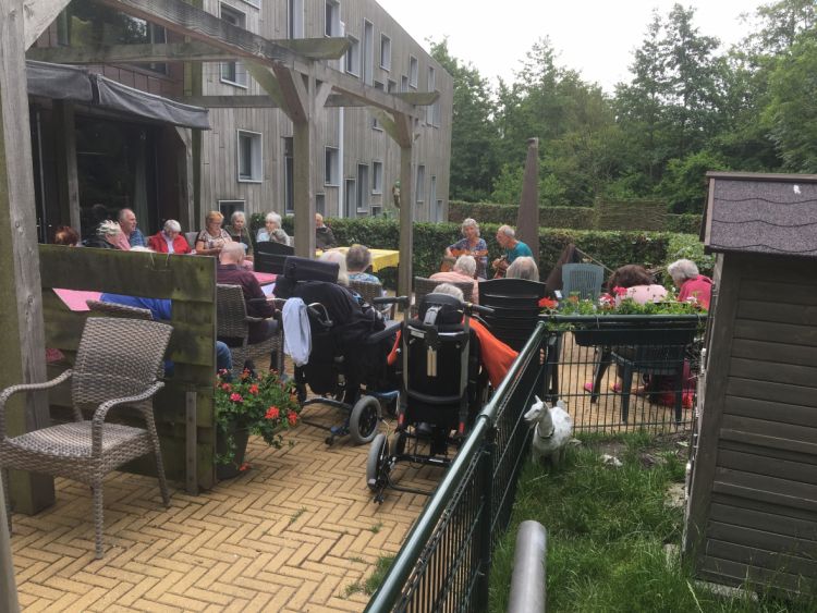Gitaarmuziek in de tuin
