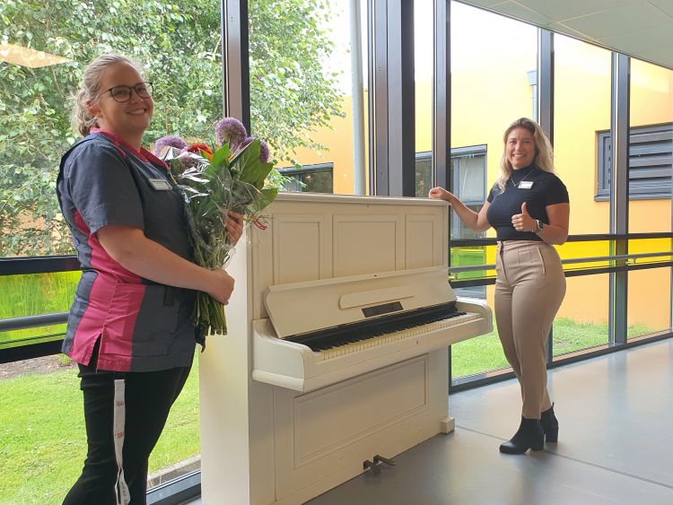 Piano voor wijk Stolp