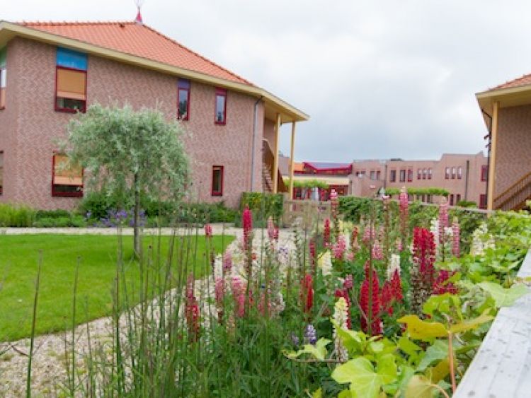 De tuin