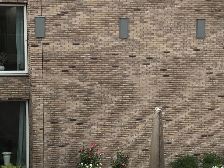 Magentazorg en omwonenden zetten zich in voor behoud vleermuizen