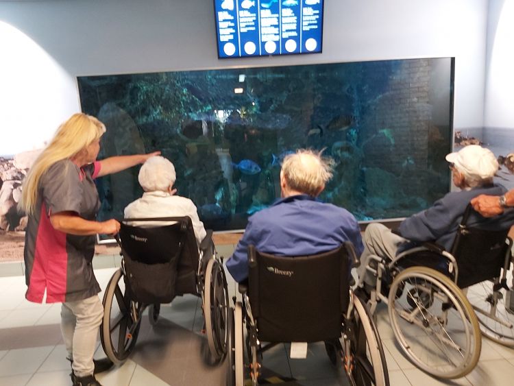 Bezoek Zee Aquarium Bergen aan Zee