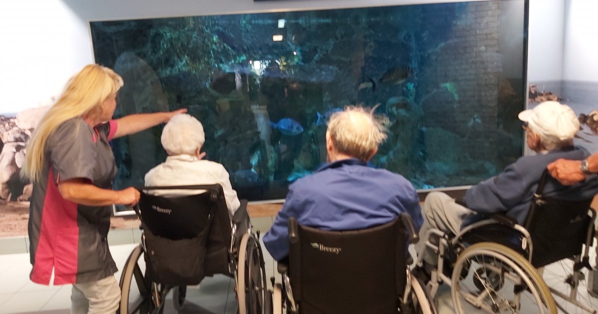 Uitje zee aquarium Bergen aan Zee Uitje zee aquarium Bergen aan Zee