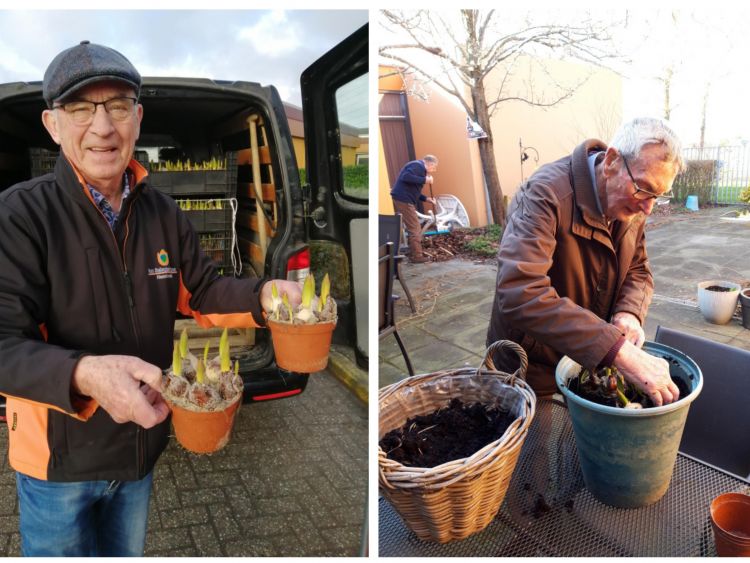 De lente in huis