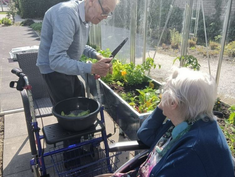 Eten uit de kas