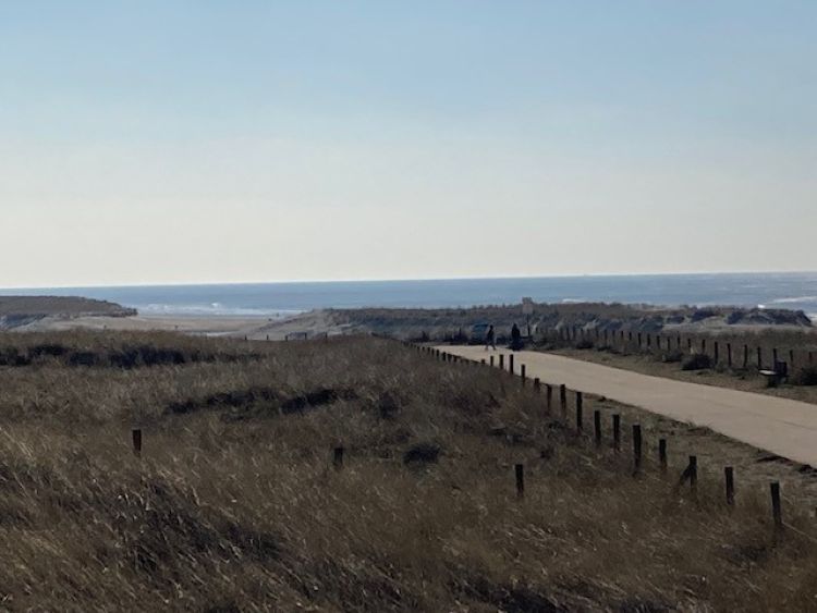 Strand