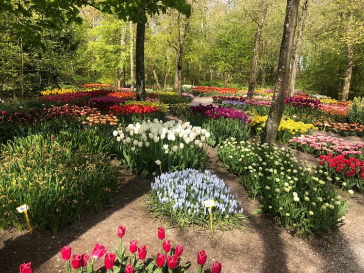 Bezoek Poldertuin in Anna Paulowna